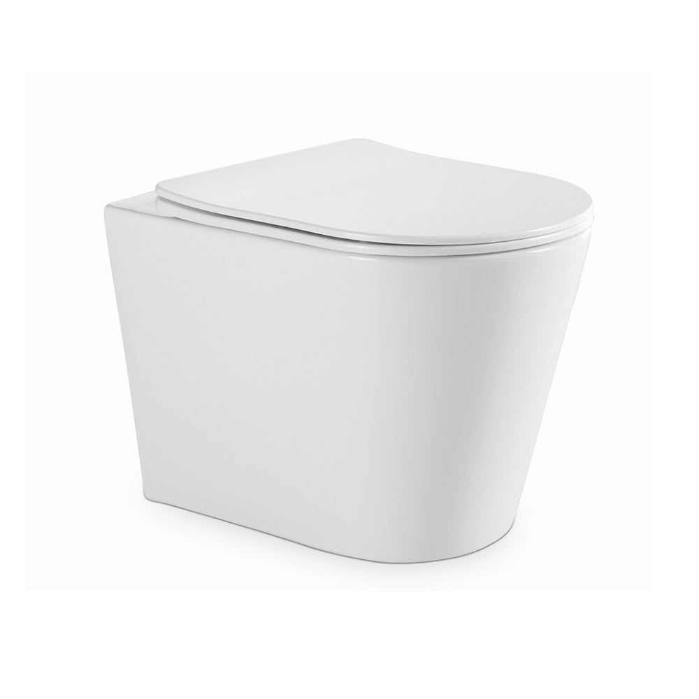Rimless Back To Wall Toilet