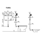 Rimless Back To Wall Toilet