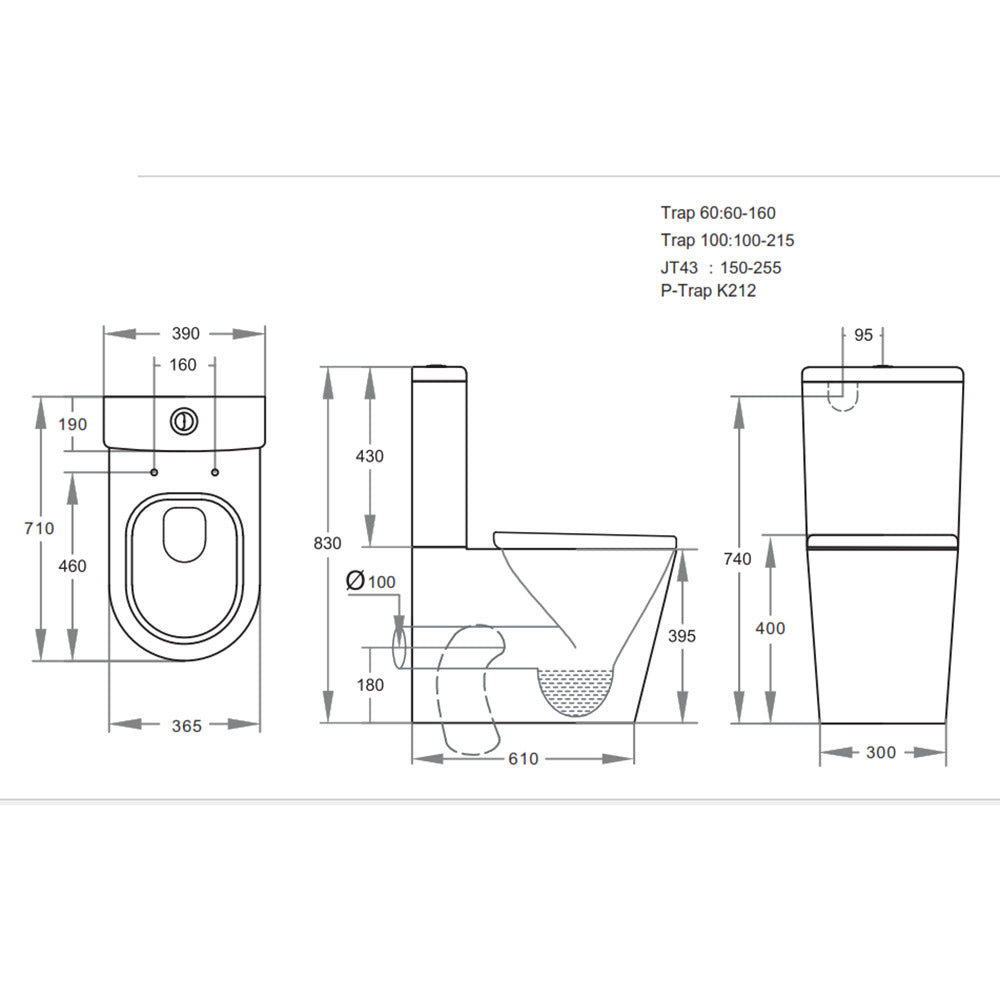 Tyson Series Toilet Suite, Rimless Flush Pan