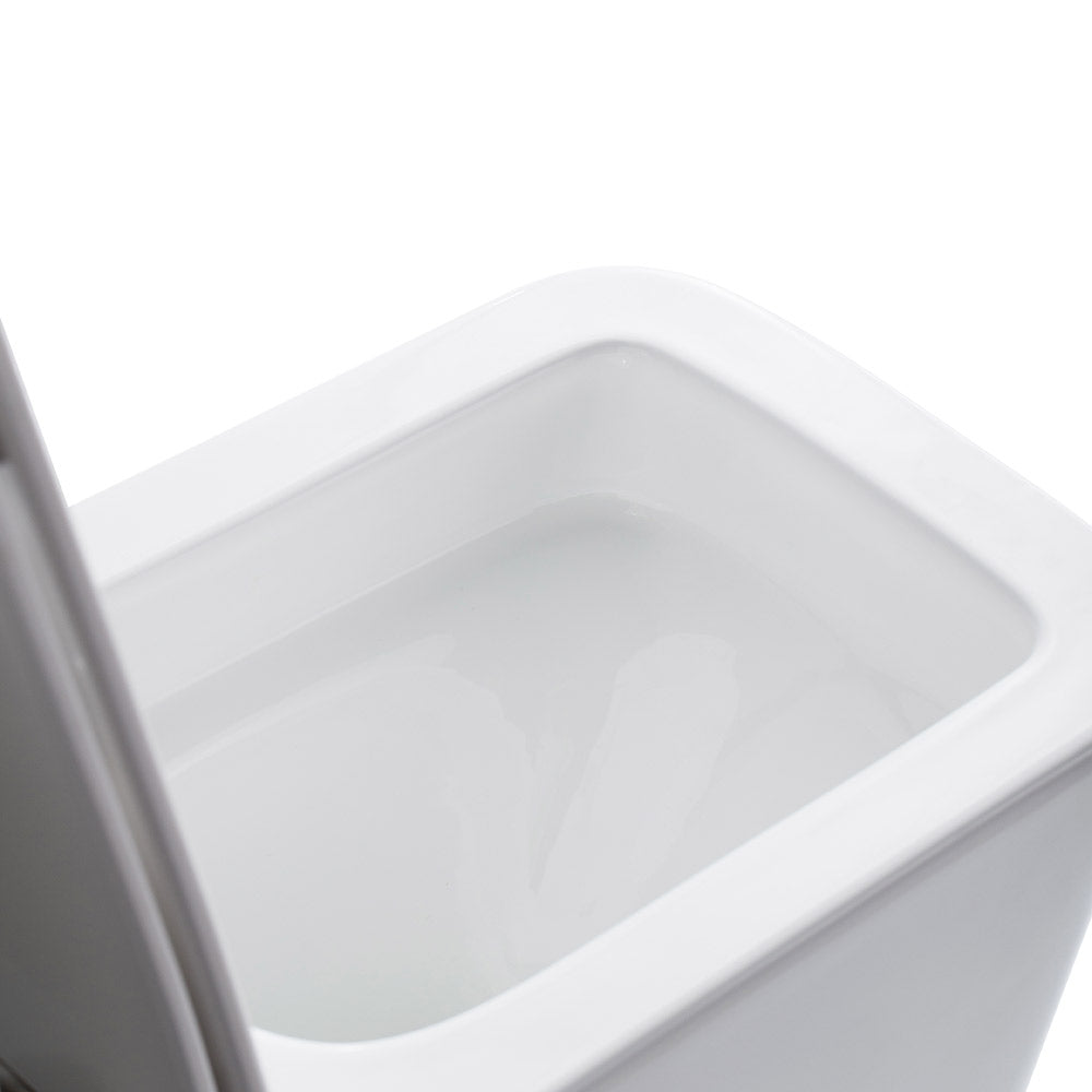Rimless Wall Faced Toilet Suite 3