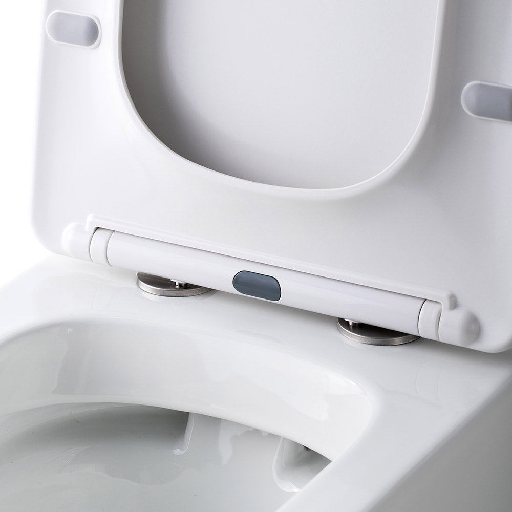 Rimless Wall Faced Toilet Suite 3