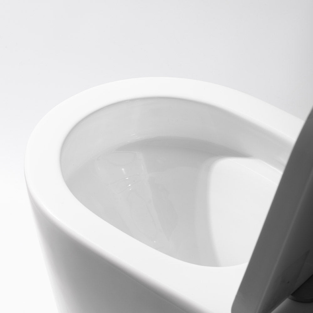Rimless Wall Faced Toilet Suite 2