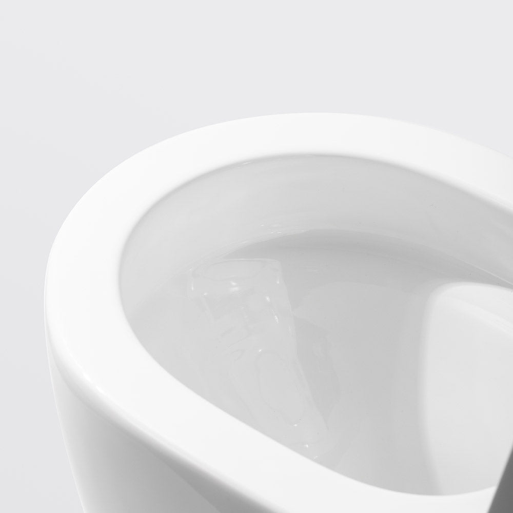 Rimless Wall Faced Toilet Suite 1